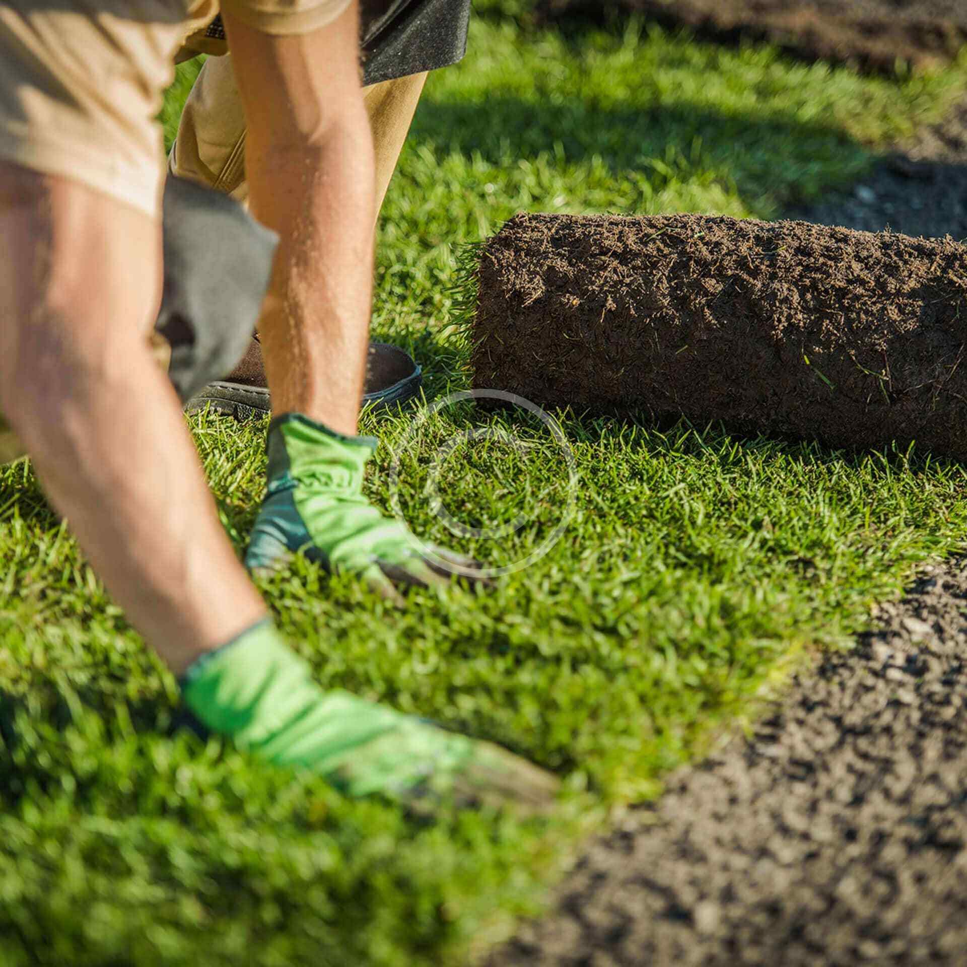 Lawn Maintenance